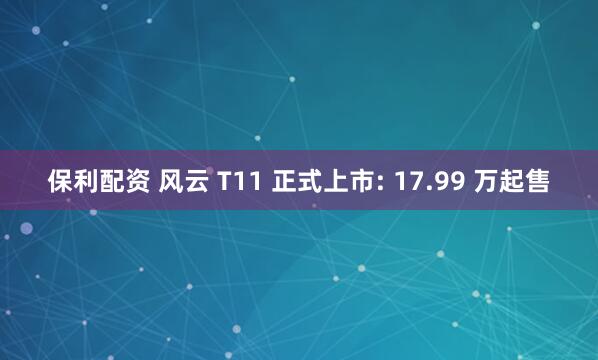 保利配资 风云 T11 正式上市: 17.99 万起售